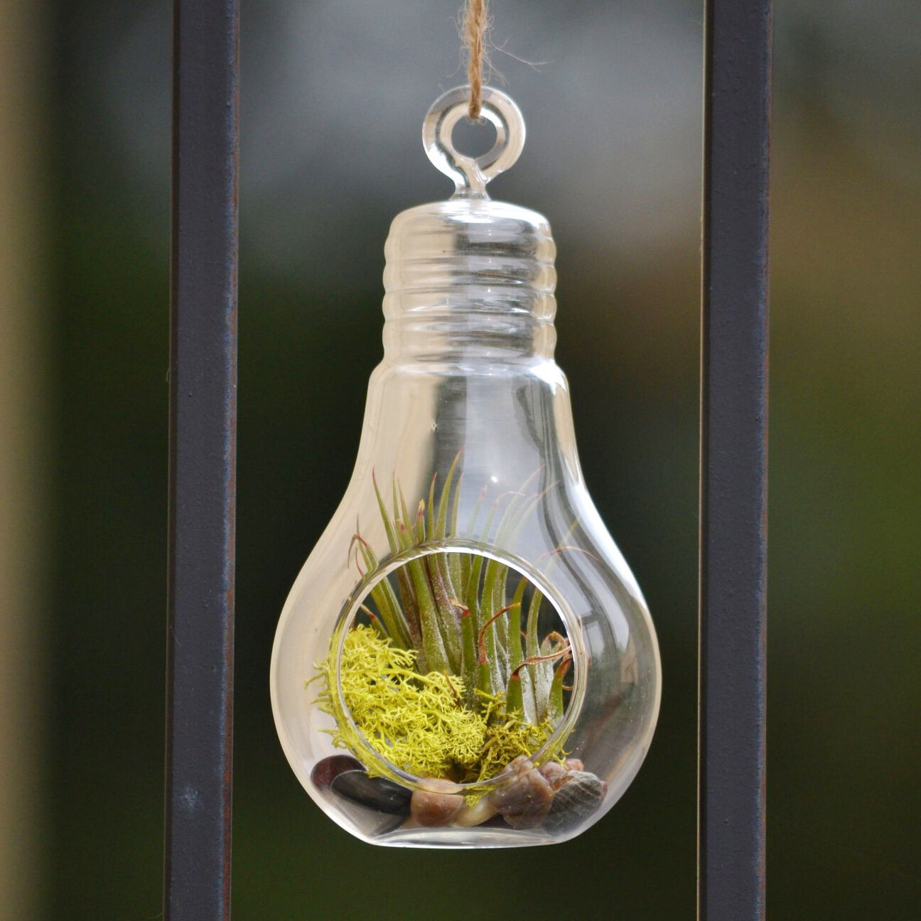 light bulb air plant Hanging Bulb Glass Terrarium Air Plant Candle Holder, 10-inch – Homeford